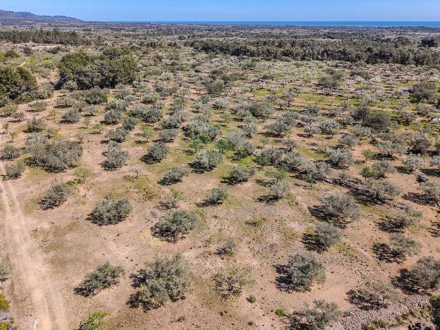 Terreno en venta en Perelló, el Tar, de 45.324 m² por 90.000