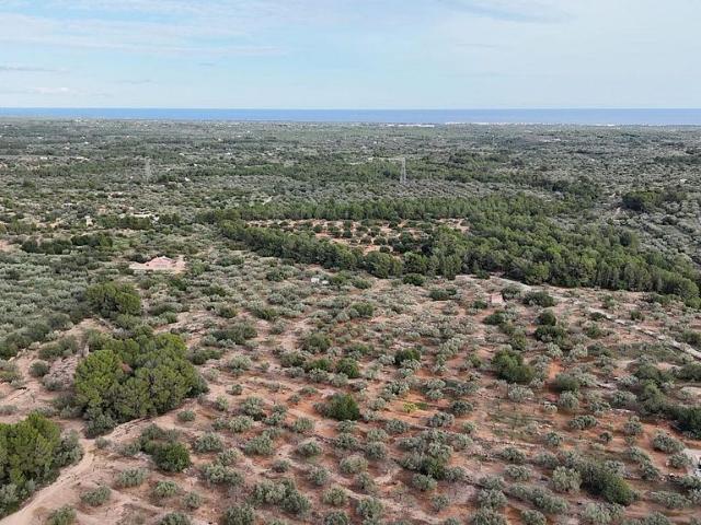 Terreno en venta en Perelló, el Tar, de 45.610 m² por 59.000