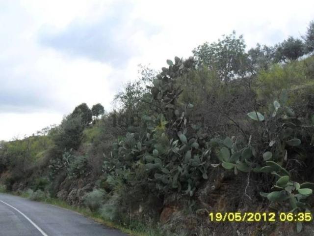 Terreno en Venta en Pereña de La Ribera