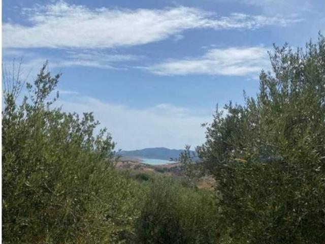 Terreno en Venta en Periana