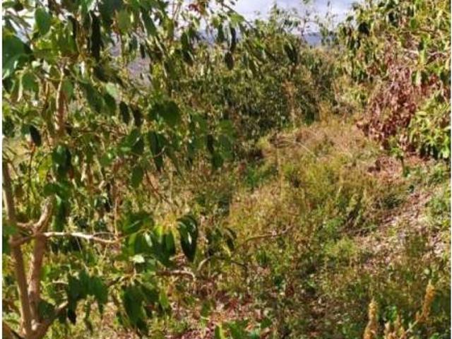 Terreno en Venta en Periana