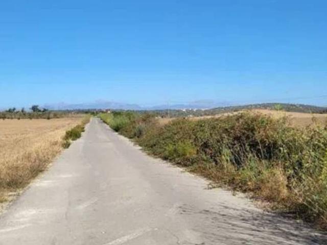 Terreno en Venta en Petra
