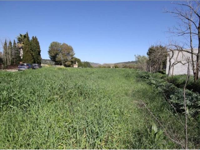 Terreno en Venta en Petra