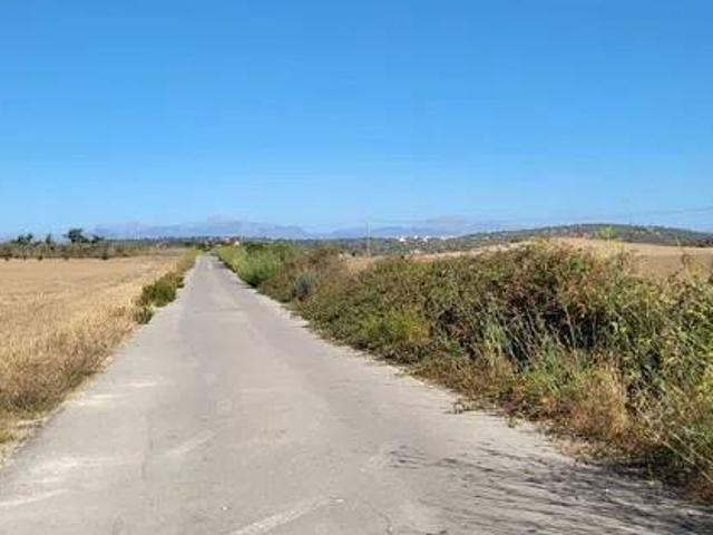 Terreno en Venta en Petra