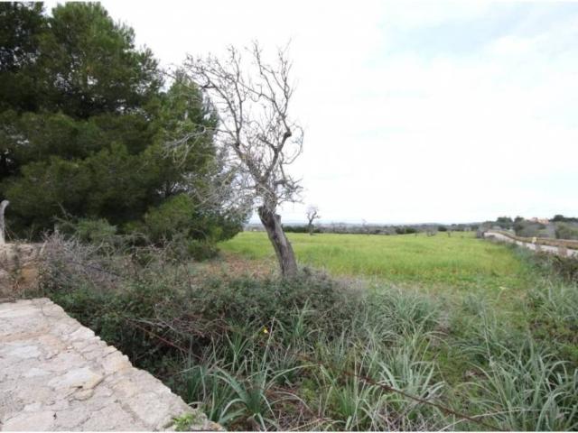 Terreno en Venta en Petra
