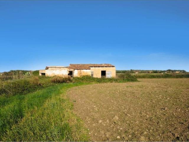 Terreno en Venta en Petra