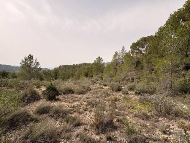 Terreno en Venta en Petrer