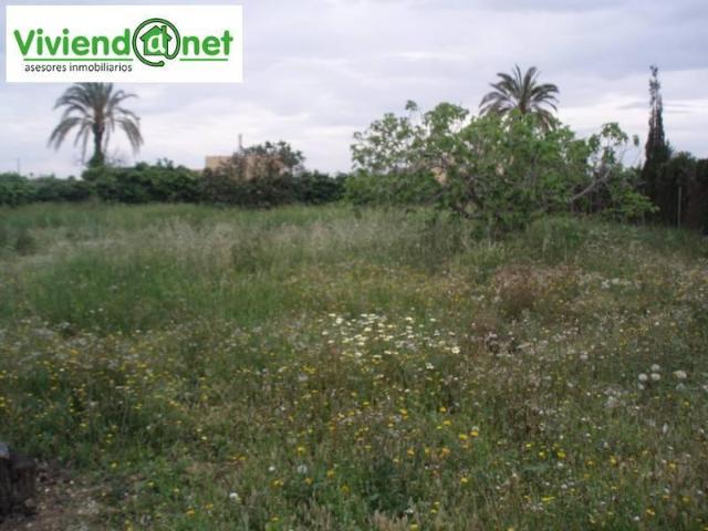 Terreno en venta en Peña las aguilas, Peña de las aguilas