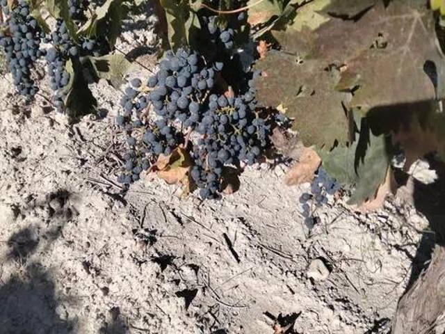 Terreno en Venta en Peñafiel