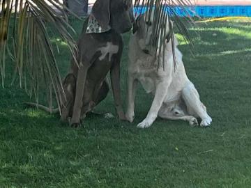 Terreno en Venta en Peñaflor