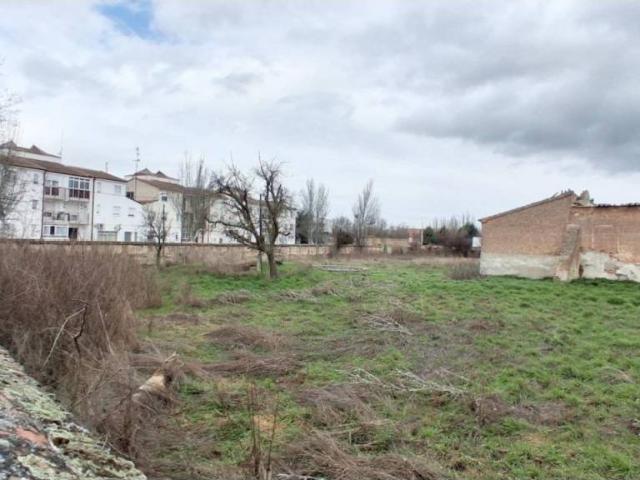 Terreno en Venta en Peñaranda de Bracamonte