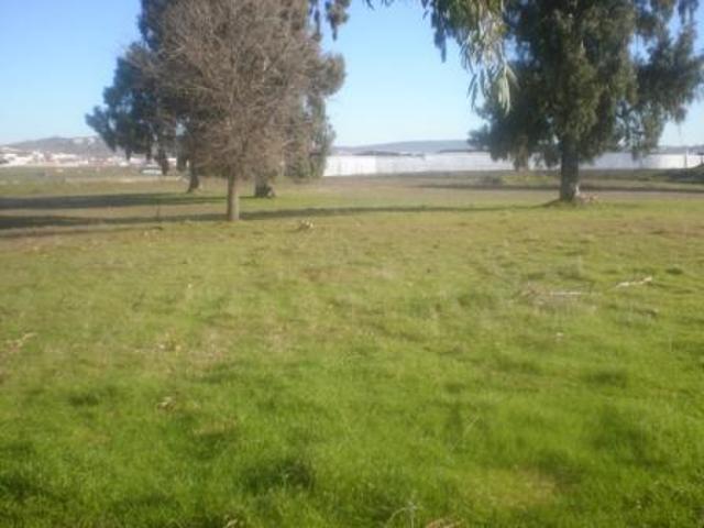Terreno en venta en Peñarroya Pueblonuevo