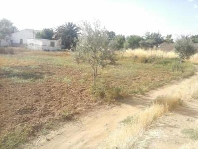 Terreno en venta en Peñarroya Pueblonuevo