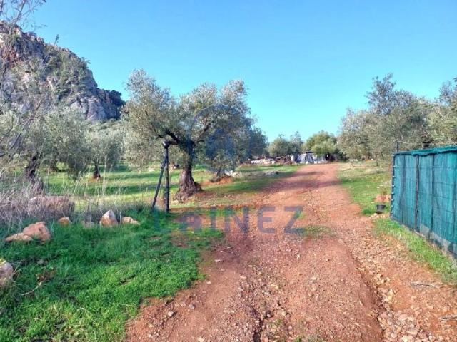 Terreno en venta en Peñarroya Pueblonuevo, Peñarroya Pueblonuevo, El Peñon