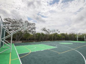 Terreno en venta en phula dzidzilché