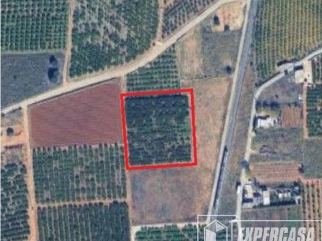 Terreno en Venta en Picassent