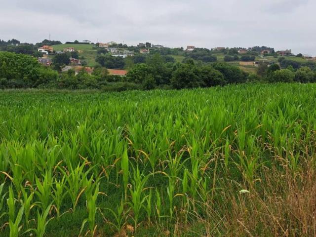 Terreno en Venta en Piélagos