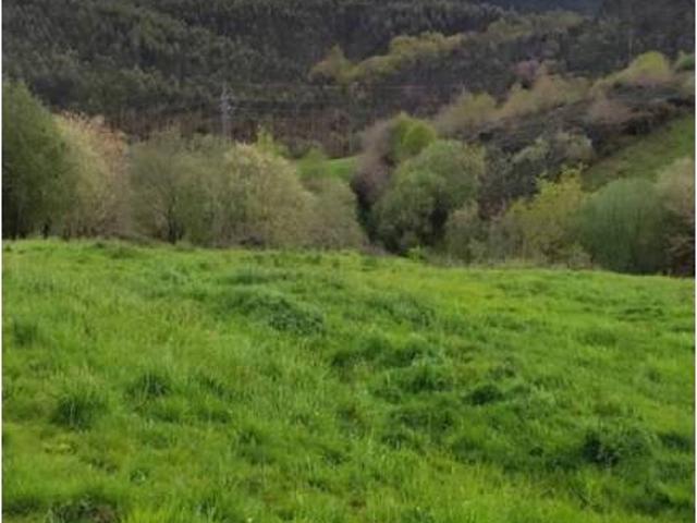 Terreno en Venta en Piélagos