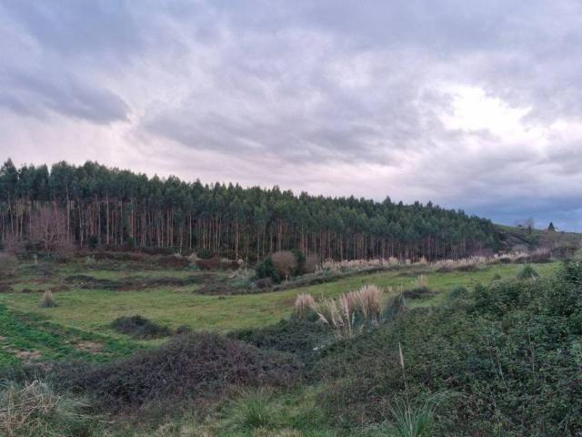 Terreno en Venta en Piélagos