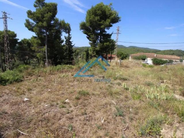 Terreno en Venta en Piera