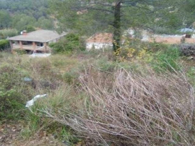 Terreno en venta en Piera