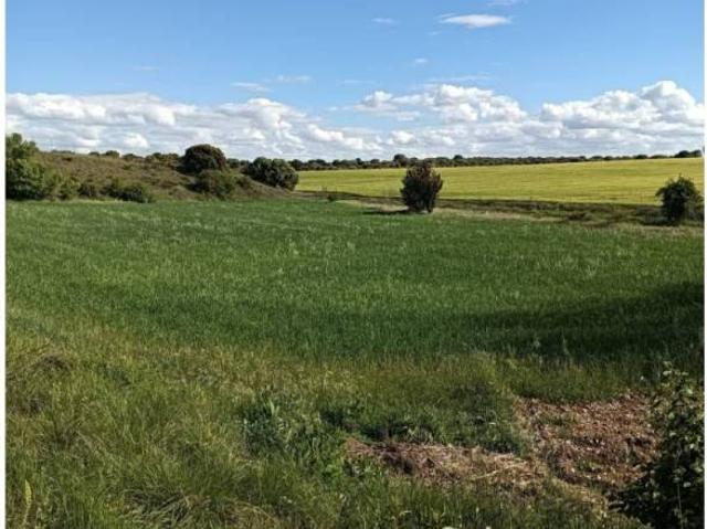 Terreno en Venta en Pioz