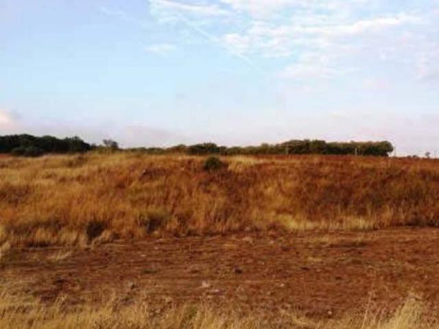 Terreno en Venta en Pioz