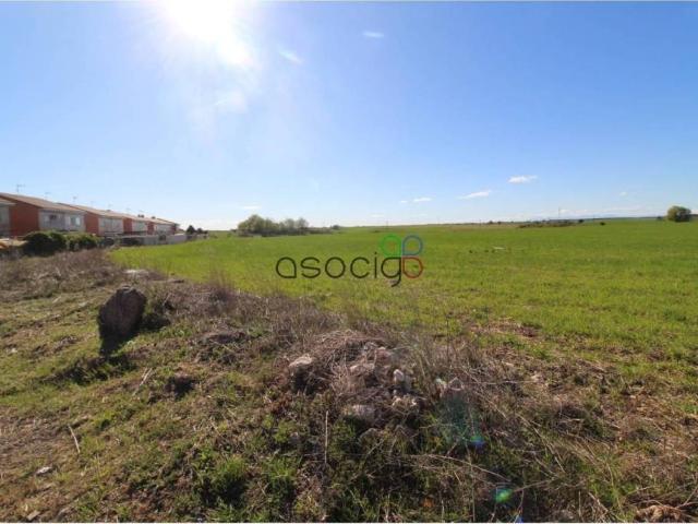 Terreno en Venta en Pioz