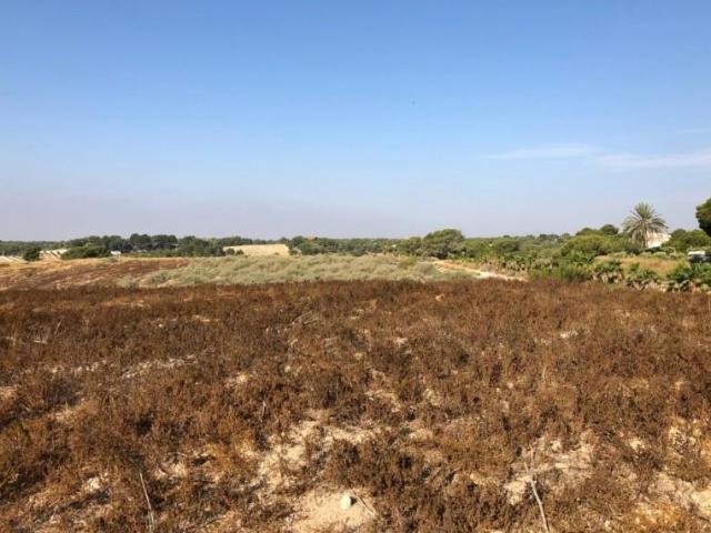 Terreno en venta en Pilar de la Horadada, PILAR DE LA HORADADA