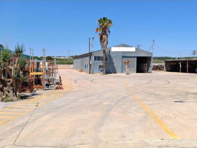 Terreno en Venta en Pilar de la Horadada