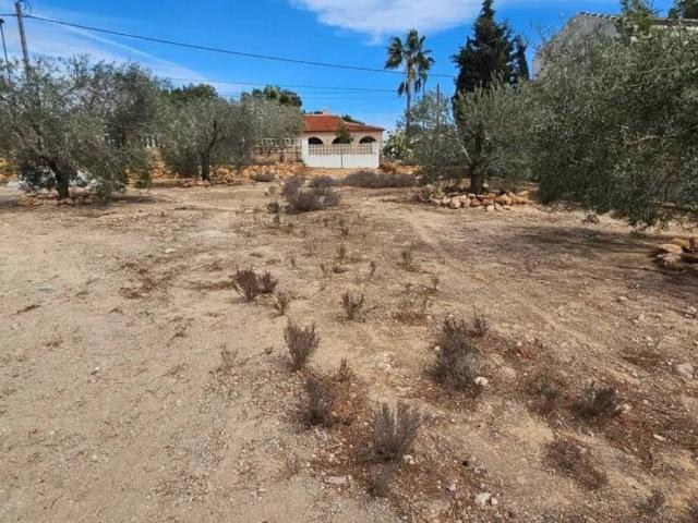 Terreno en Venta en Pilar de la Horadada