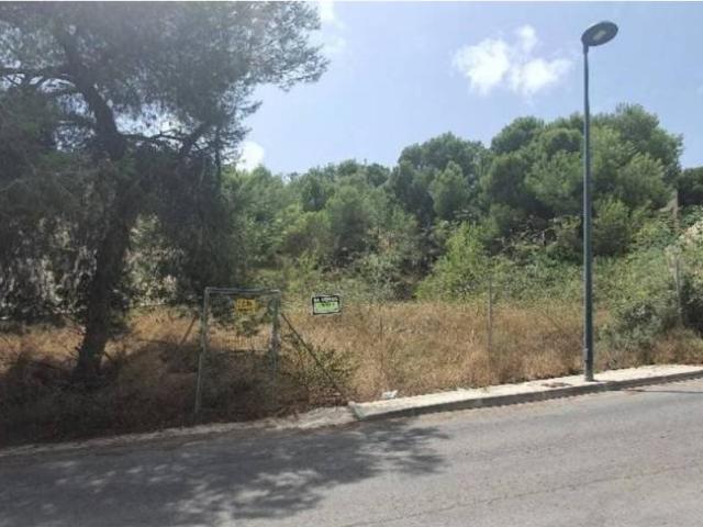 Terreno en Venta en Pilar de la Horadada