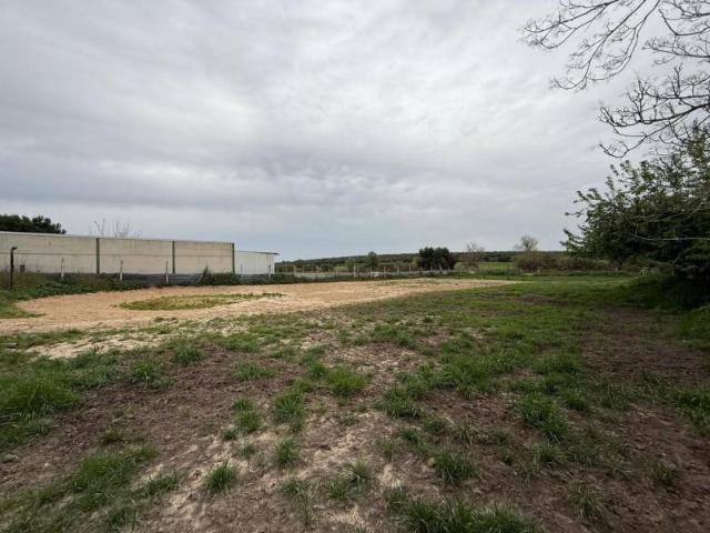 Terreno en venta en Pilas, Andalucia