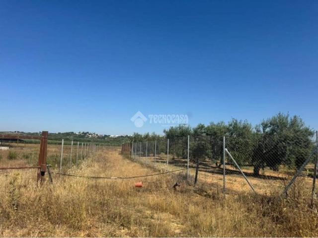 Terreno en Venta en Pilas