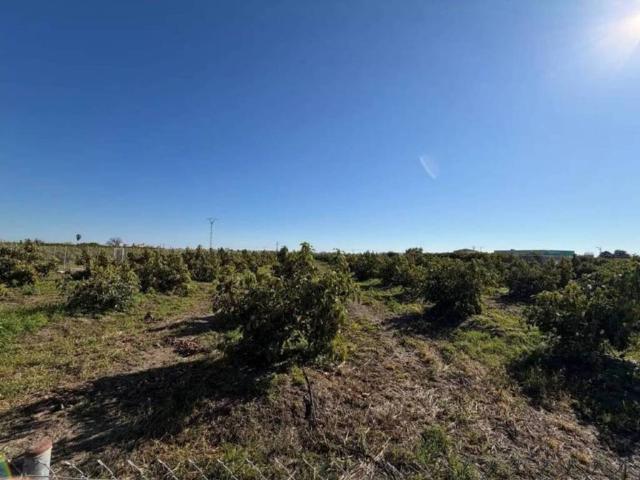 Terreno en Venta en Piles