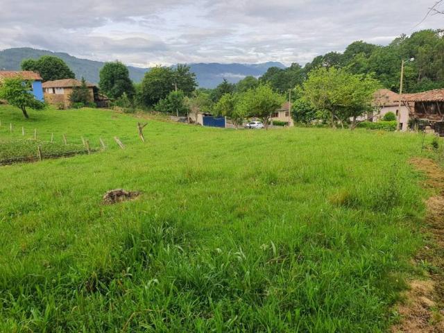 Terreno en Venta en Piloña