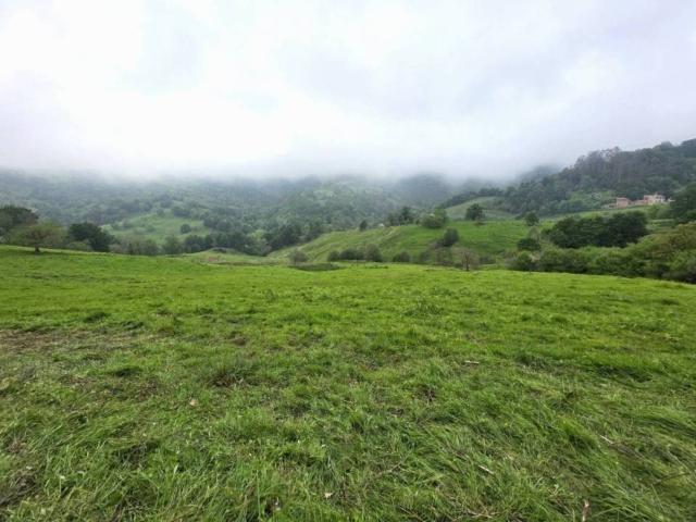 Terreno en Venta en Piloña