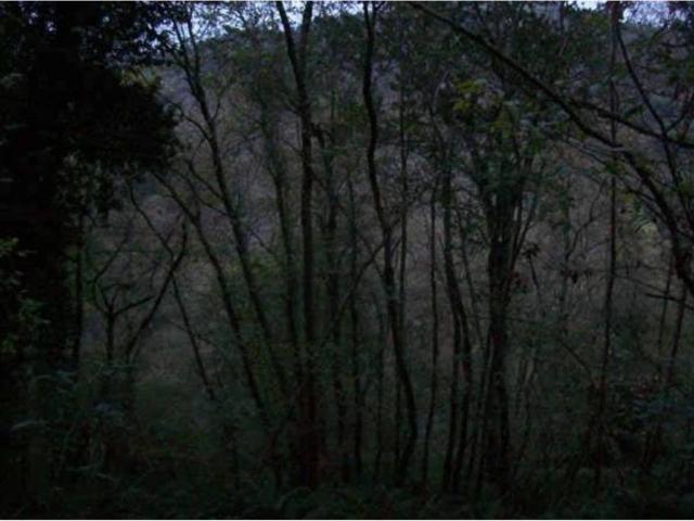 Terreno en Venta en Piloña