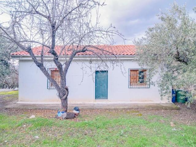 Terreno en venta en Pinos Genil, Andalucia