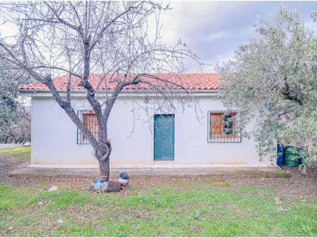 Terreno en Venta en Pinos Genil