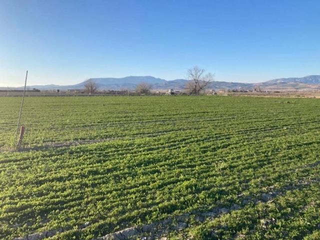 Terreno en Venta en Pinos Puente