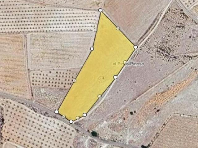 Terreno en venta en Pinoso