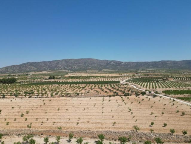 Terreno en venta en Pinoso