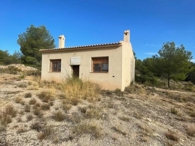Terreno en venta en Pinoso