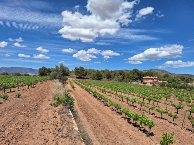 Terreno en Venta en Pinoso El Pinós