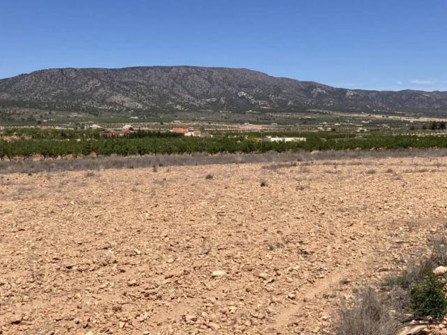 Terreno en Venta en Pinoso El Pinós