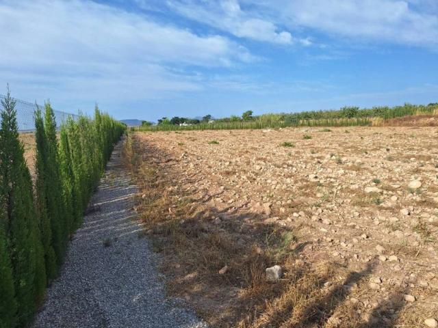 Terreno en Venta en Pinoso El Pinós