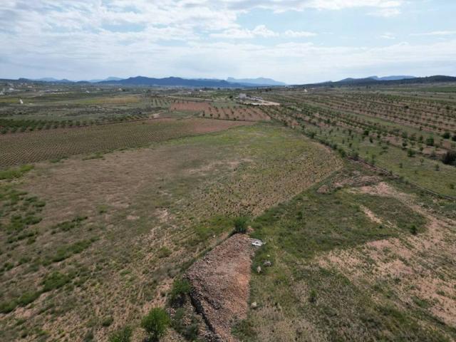 Terreno en Venta en Pinoso El Pinós