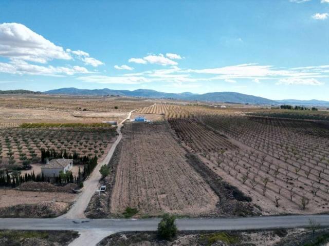 Terreno en Venta en Pinoso El Pinós