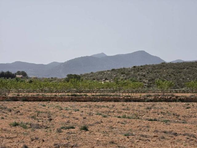 Terreno en Venta en Pinoso El Pinós